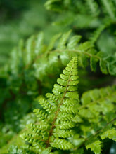 files/shutterstock_2217935021.jpg